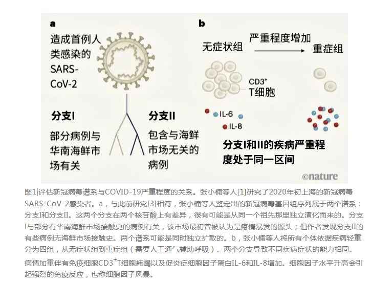 評估新冠病毒譜系與COVID-19嚴(yán)重程度的關(guān)系 (2).jpg