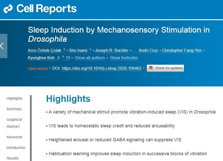 關于機械性刺激對果蠅的睡眠誘導研究