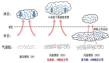 CCN（云凝結核）效應、IN（冰核）效應