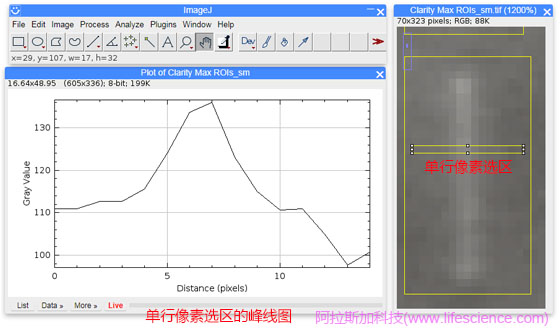 ImageJ軟件Plot Profile的單行像素選區ROI顯示功能.jpg