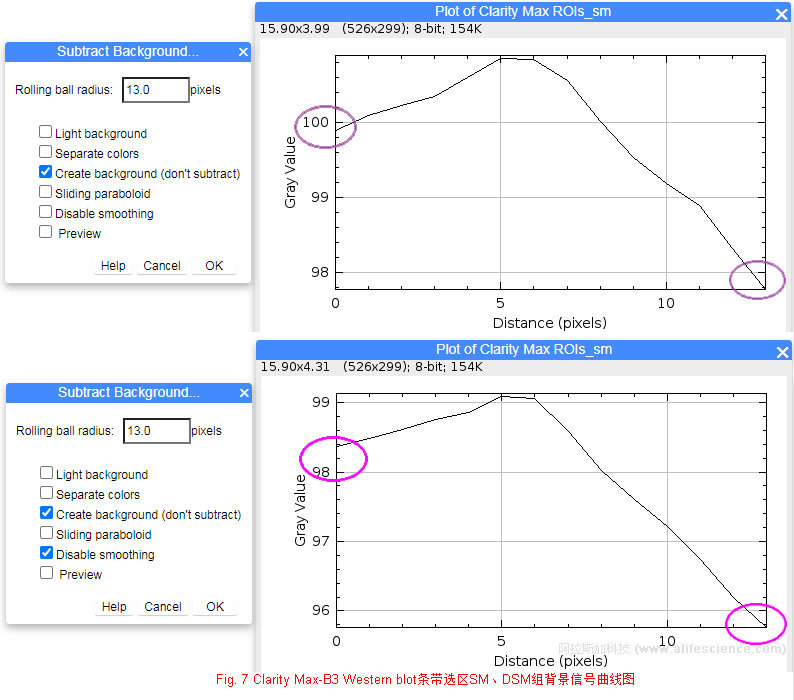 Fig 7 Clarity Max-B3 Western blot條帶選區(qū)SM、DSM組背景信號(hào)曲線圖.jpg