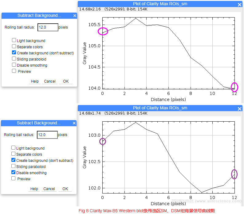 Fig 8 Clarity Max-B5 Western blot條帶選區(qū)SM、DSM組背景信號(hào)曲線圖.jpg