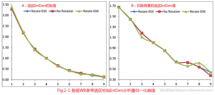 Fig 2-1 各組WB條帶選區初始IntDen分析值歸一化曲線.jpg