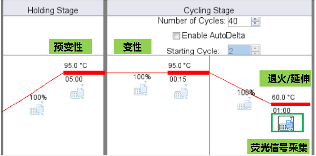 7500 Fast StepOnePlus ViiA7實時實時熒光定量PCR儀雙溫循環程序熒光信號采集時間設置.jpg