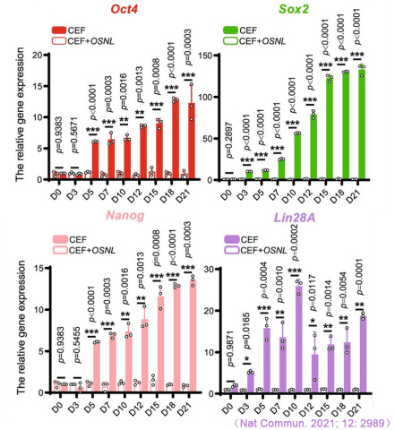 CFX Connect實時熒光定量PCR儀對iPS多能性標記基因Oct4、Sox2、Nanog和Lin28A表達的檢測.jpg