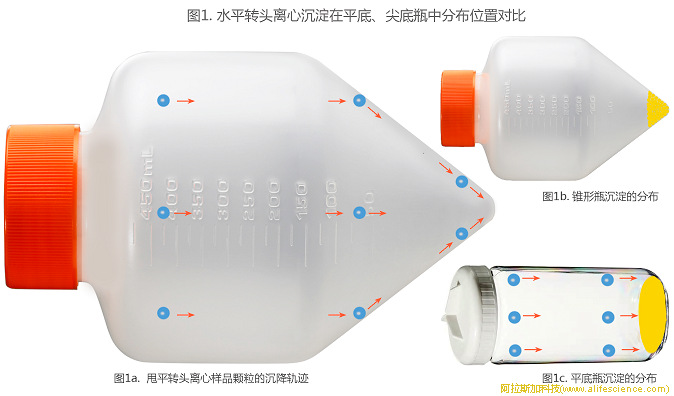 圖1. 水平轉頭離心沉淀在平底、尖底瓶中分布位置對比.jpg