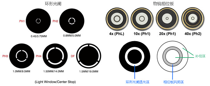Zeiss Axio Observer 7 Leica DMi8 Olympus IXplore Pro（IX83）倒置熒光顯微鏡配套環形光闌及相位板示意圖.jpg