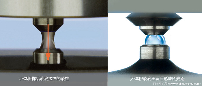 NannoDropOne C微量紫外可見光度計(jì)檢測(cè)表面不同體積測(cè)試樣品檢測(cè)光程的變化.jpg